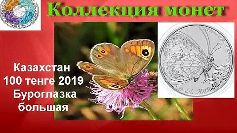 Казахстан 100 тенге, 2019 Флора и фауна Казахстана - Буроглазка большая /Lasiommata maera/