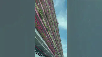 Beautiful parking lot #kawaii #cute  #garden