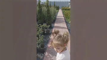 Питомник растений Флора маркет 🌺