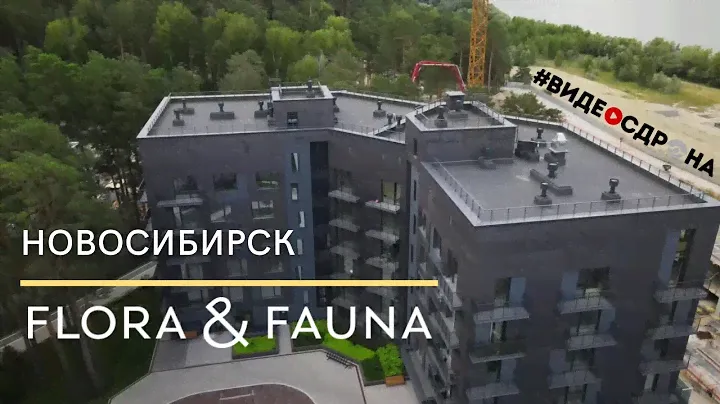 Flora & Fauna Новосибирск #VIDEOSDRONA