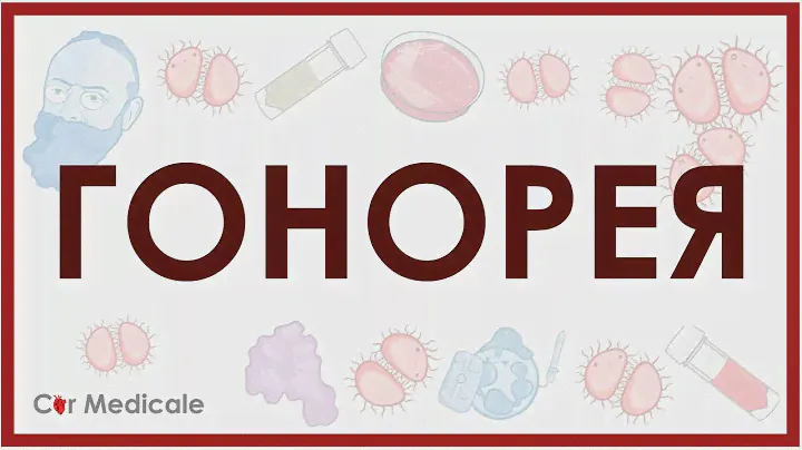 Гонорея - возбудитель (Neisseria gonorrhoeae), симптомы